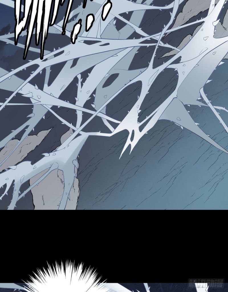 Page 13 of Chapter 216