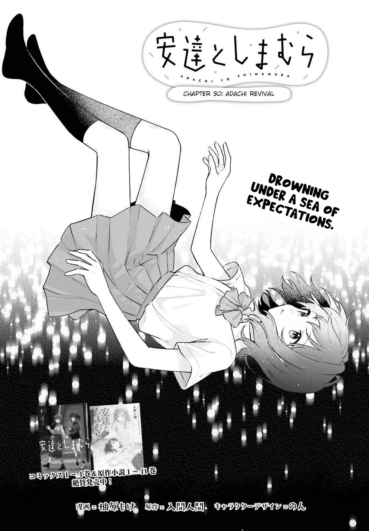 Page 4 of Chapter 30.1