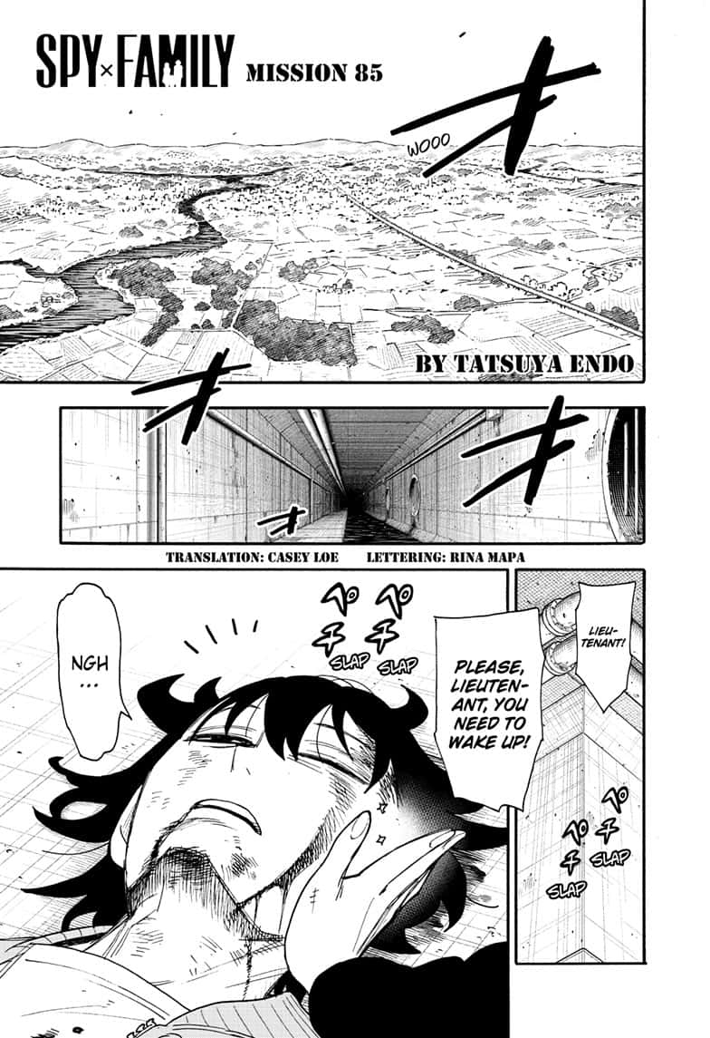 Page 1 of Chapter 85