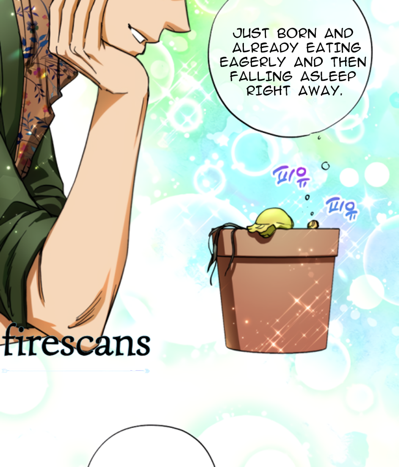 Page 51 of Chapter 29