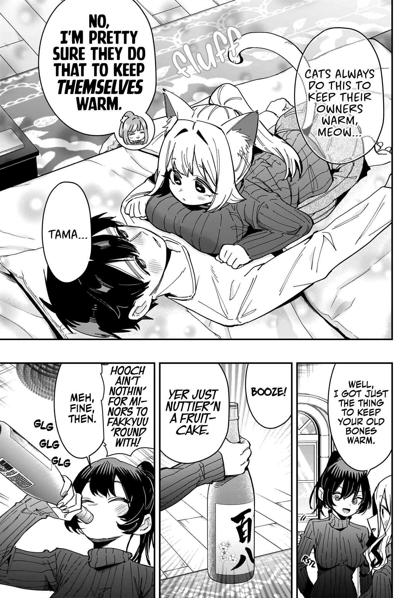 Page 13 of Chapter 171