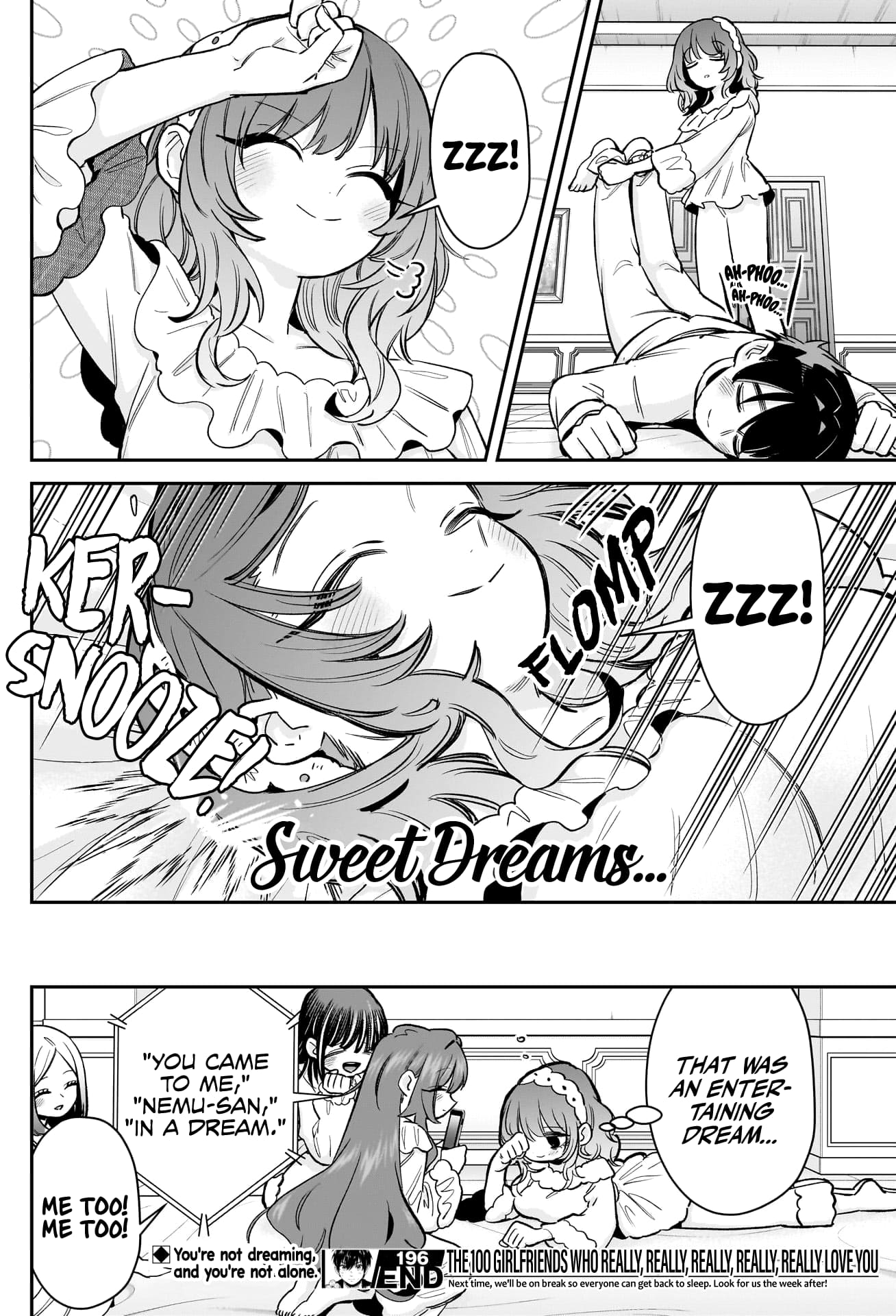 Page 20 of Chapter 196