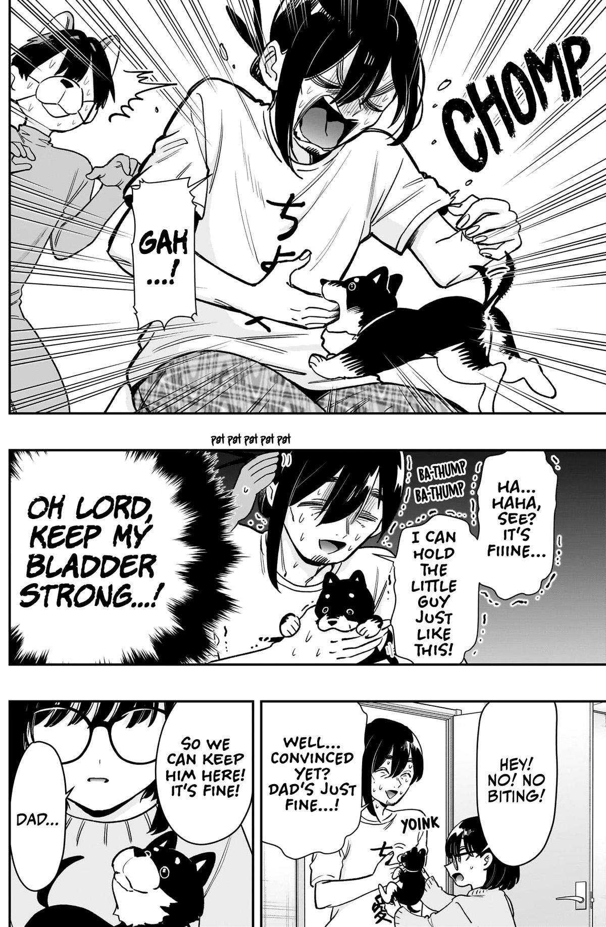 Page 17 of Chapter 199