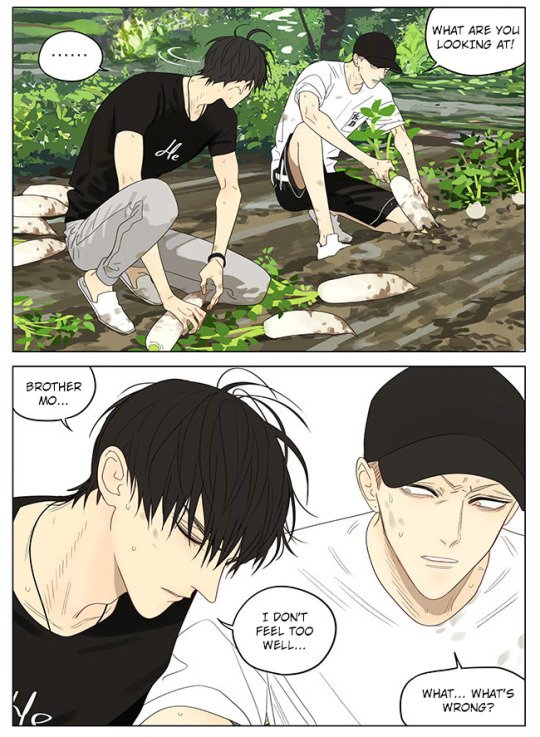 Page 8 of Chapter 328