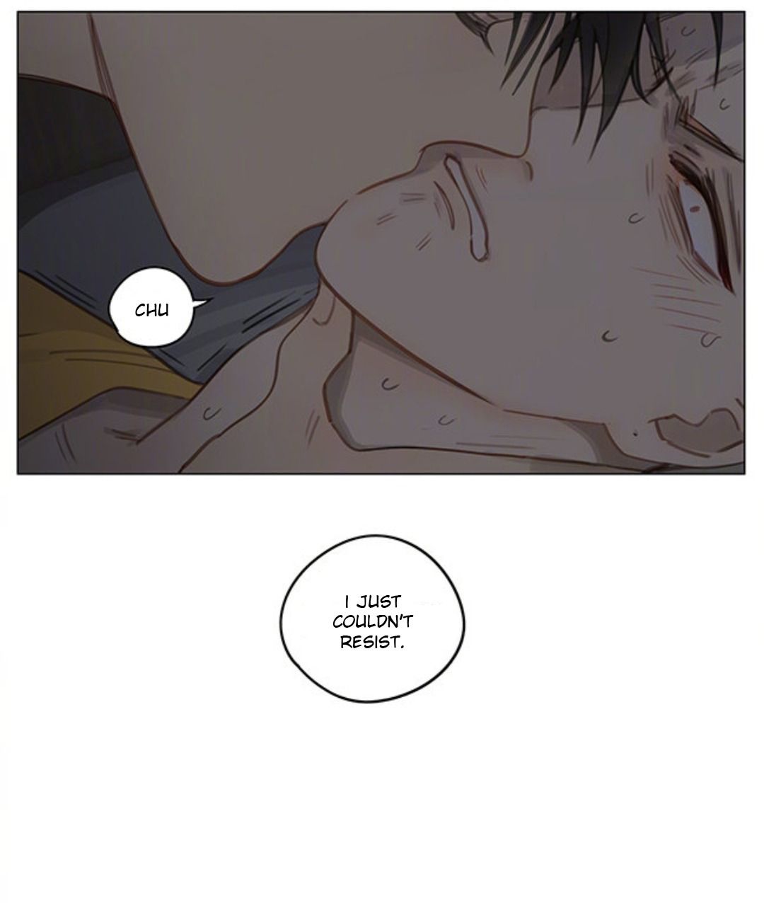 Page 4 of Chapter 333