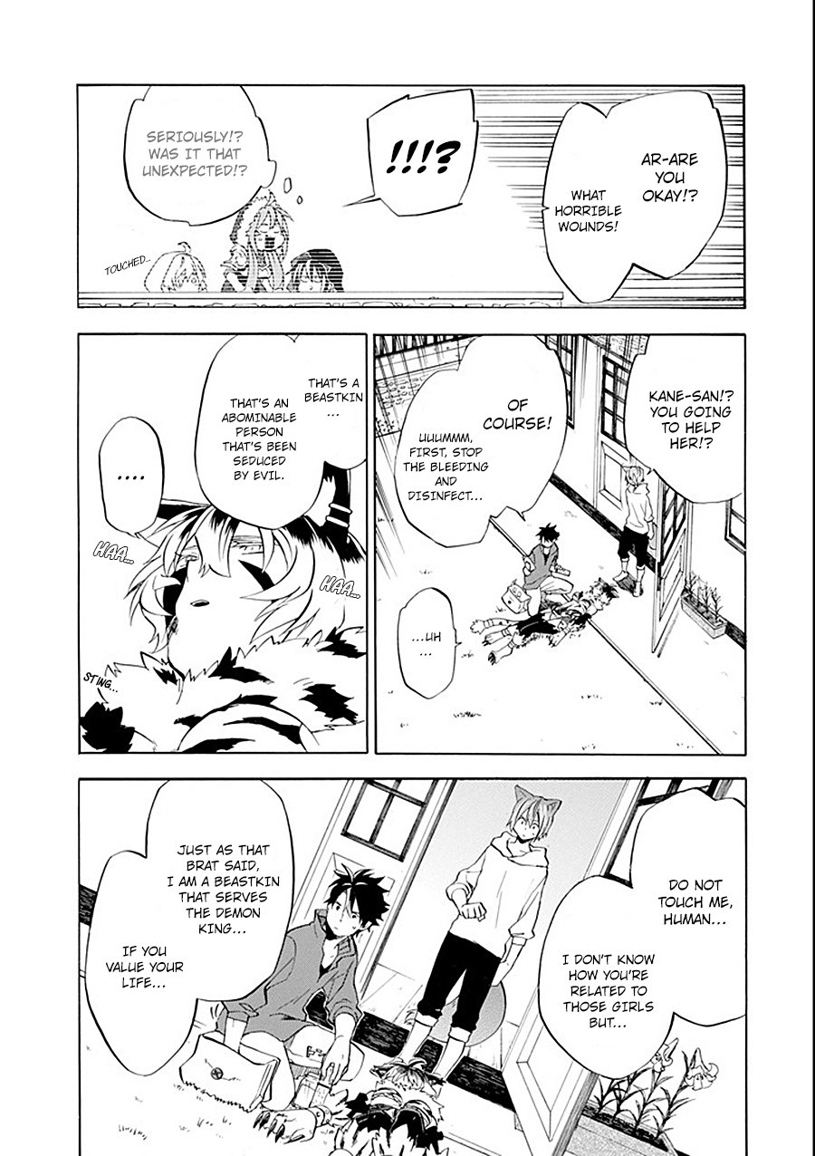 Page 17 of Chapter 10