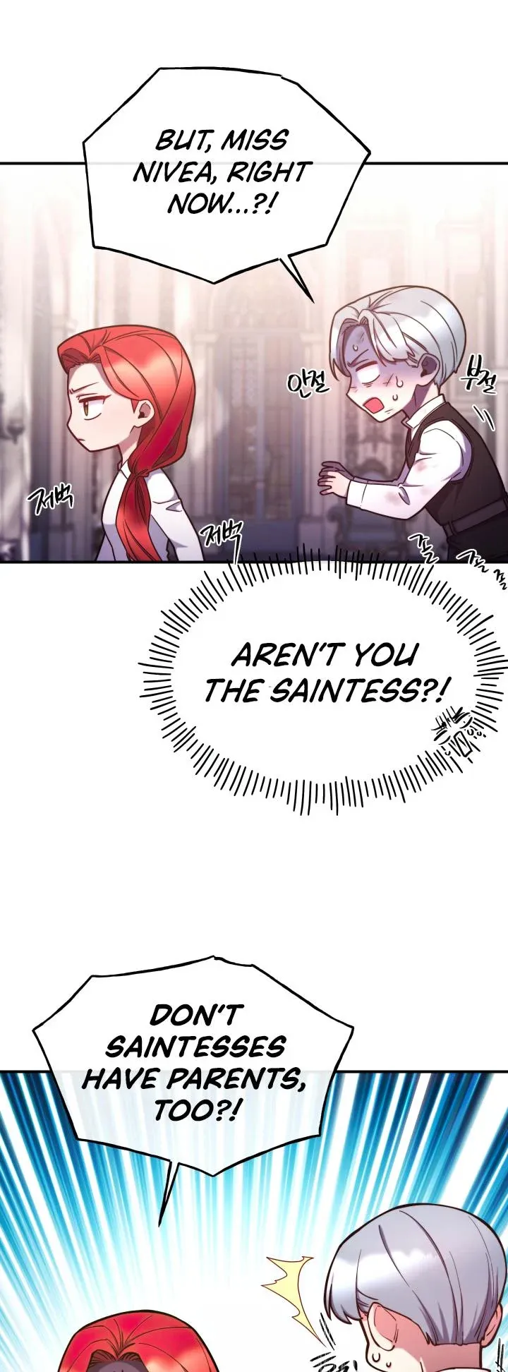 Page 17 of Chapter 96