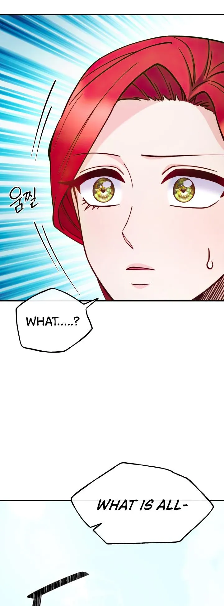 Page 33 of Chapter 96