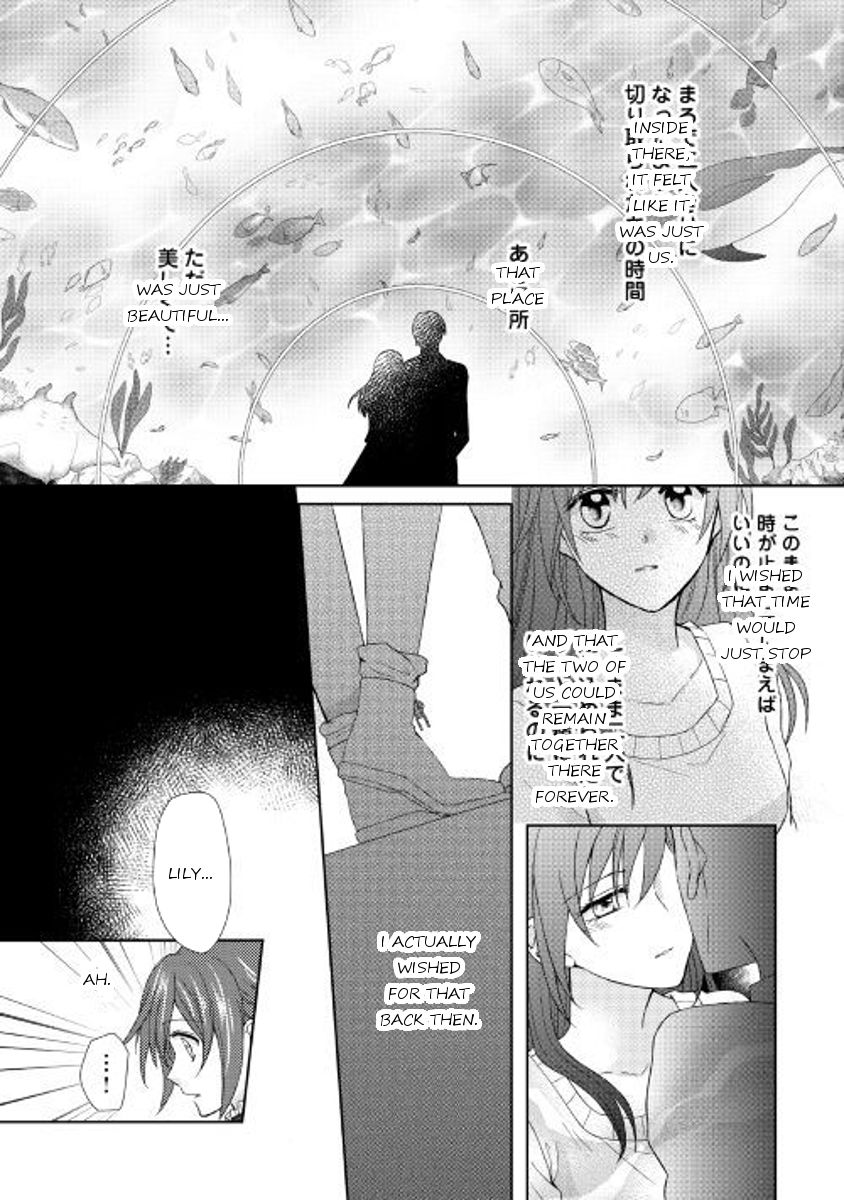 Page 26 of Chapter 19