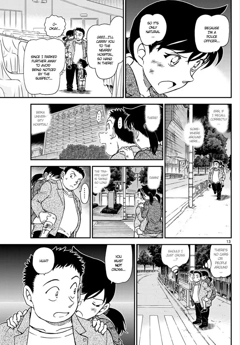 Page 13 of Chapter 1017