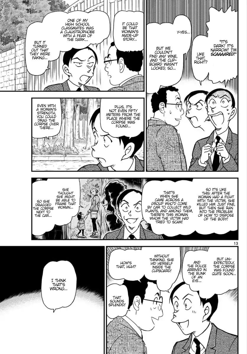 Page 13 of Chapter 1033