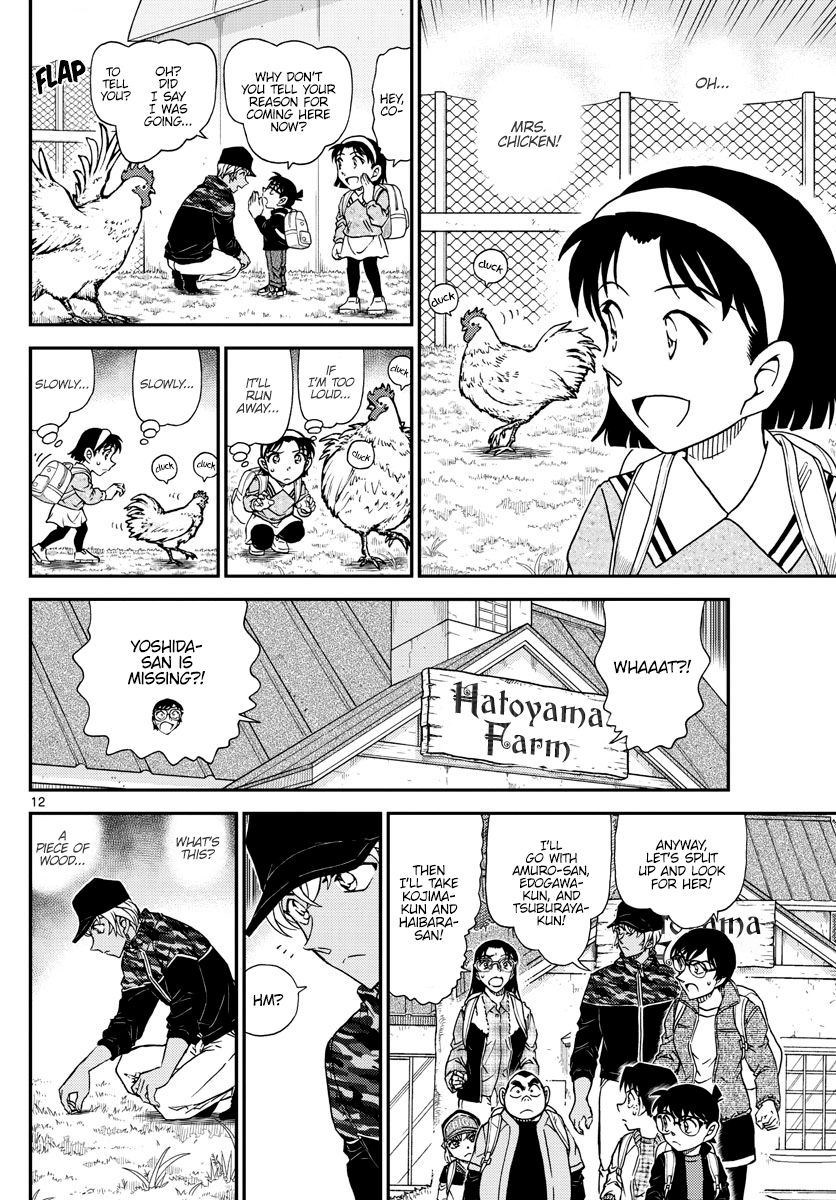 Page 13 of Chapter 1051