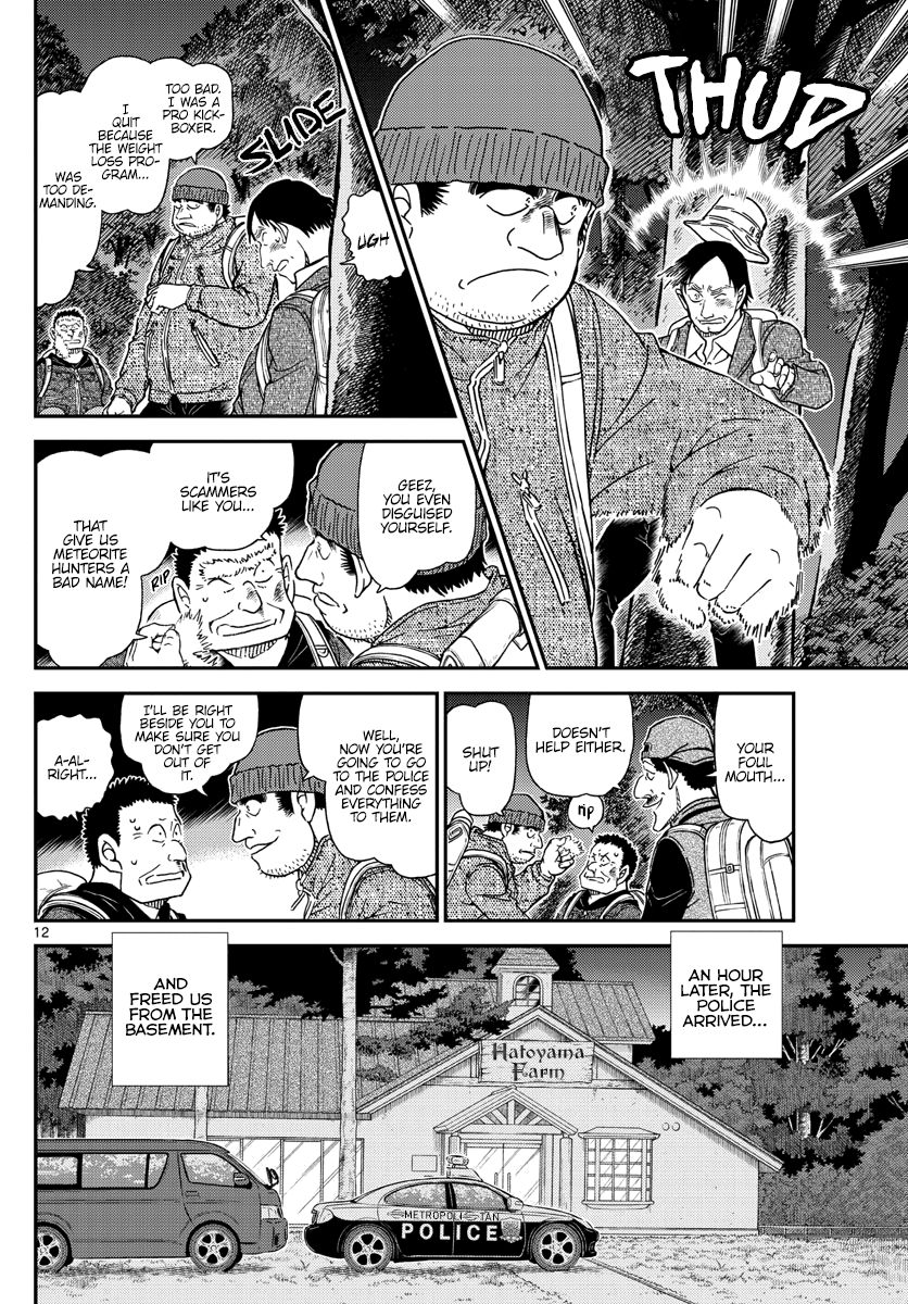 Page 13 of Chapter 1054
