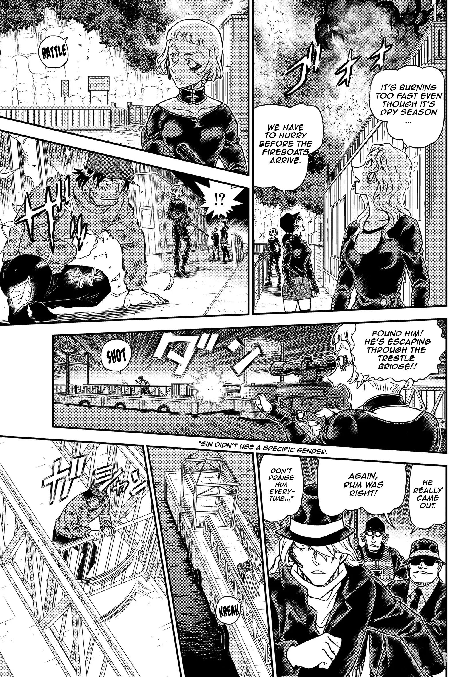 Page 13 of Chapter 1065