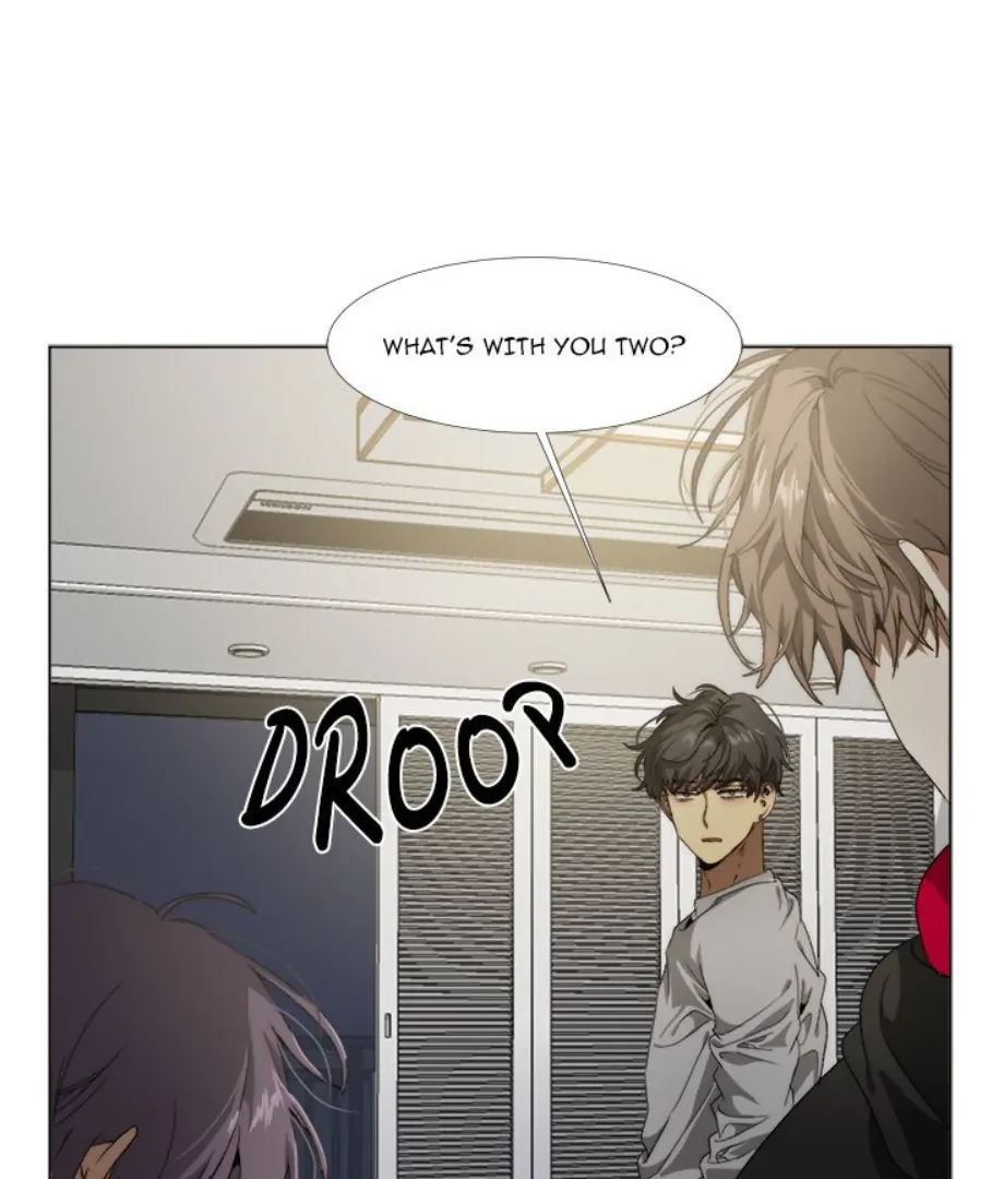 Page 20 of Chapter 15
