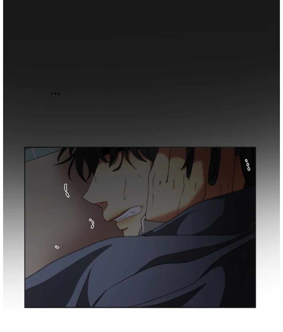 Page 41 of Chapter 15