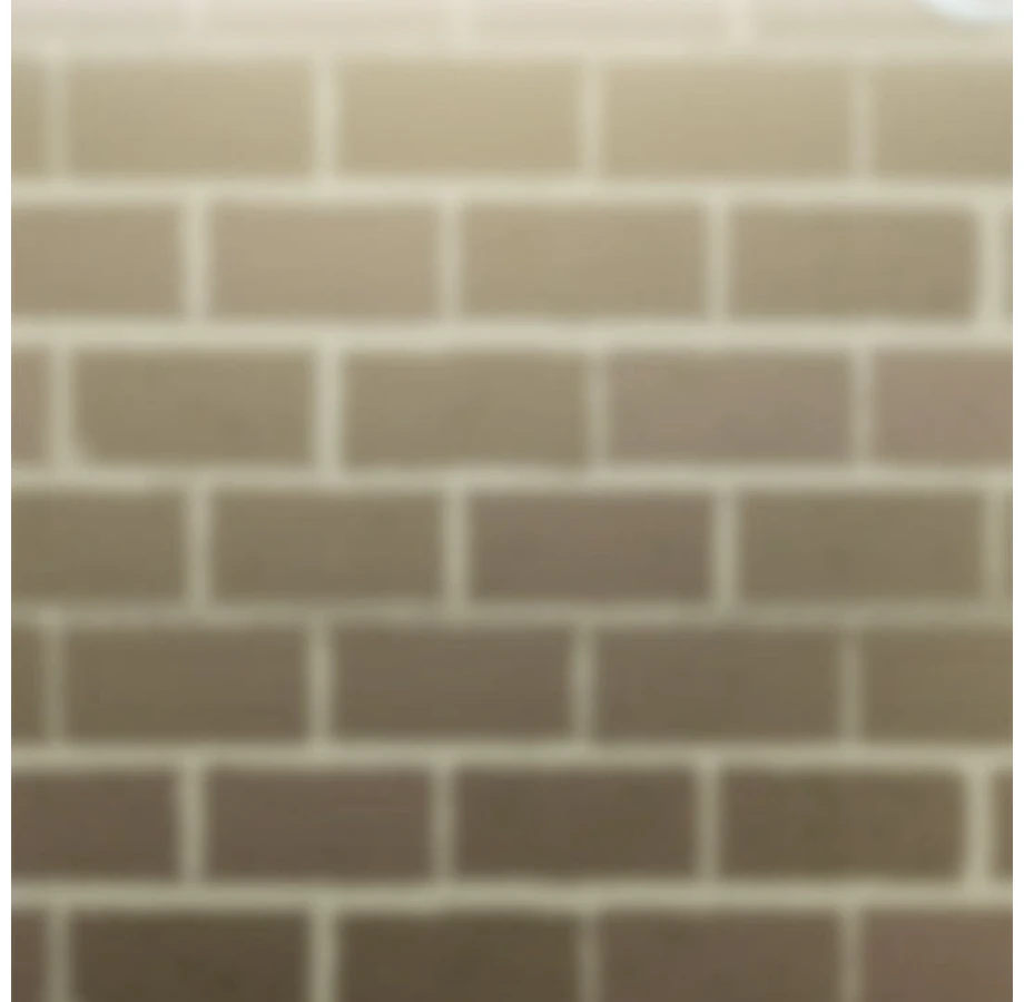 Page 81 of Chapter 16