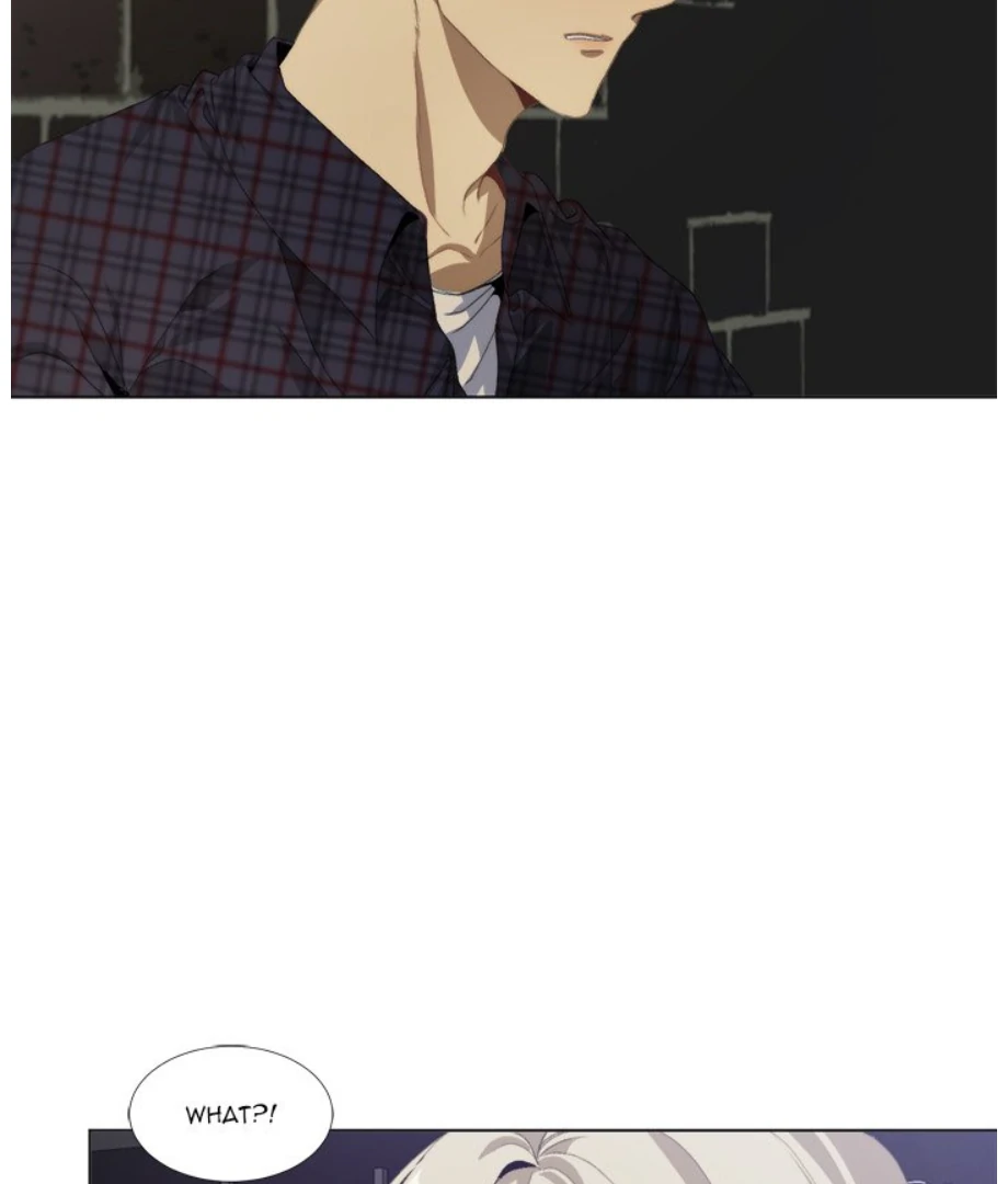 Page 19 of Chapter 17