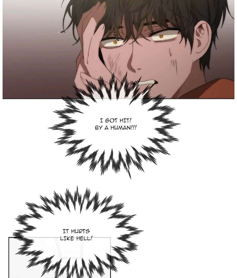 Page 5 of Chapter 19