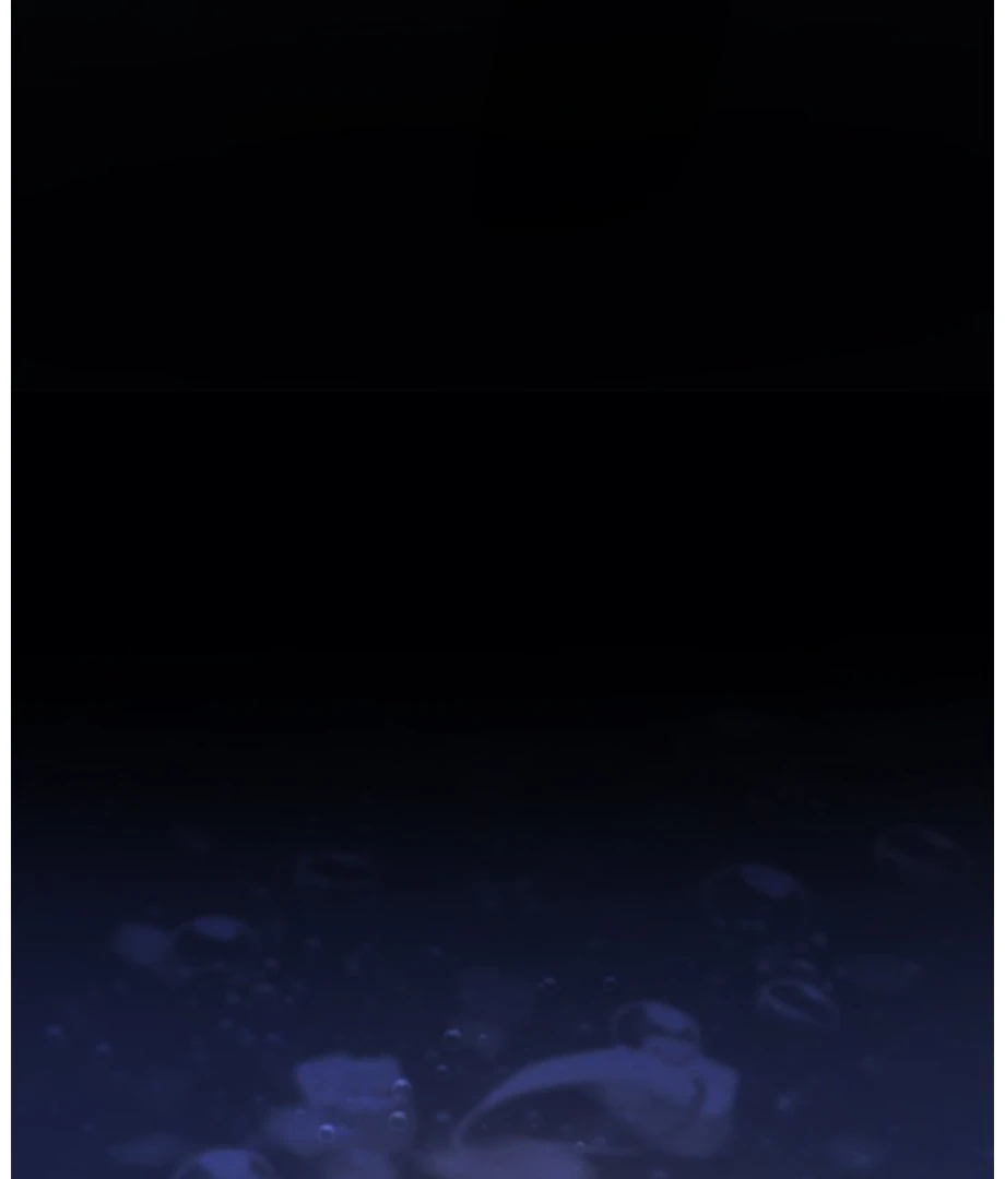 Page 85 of Chapter 6