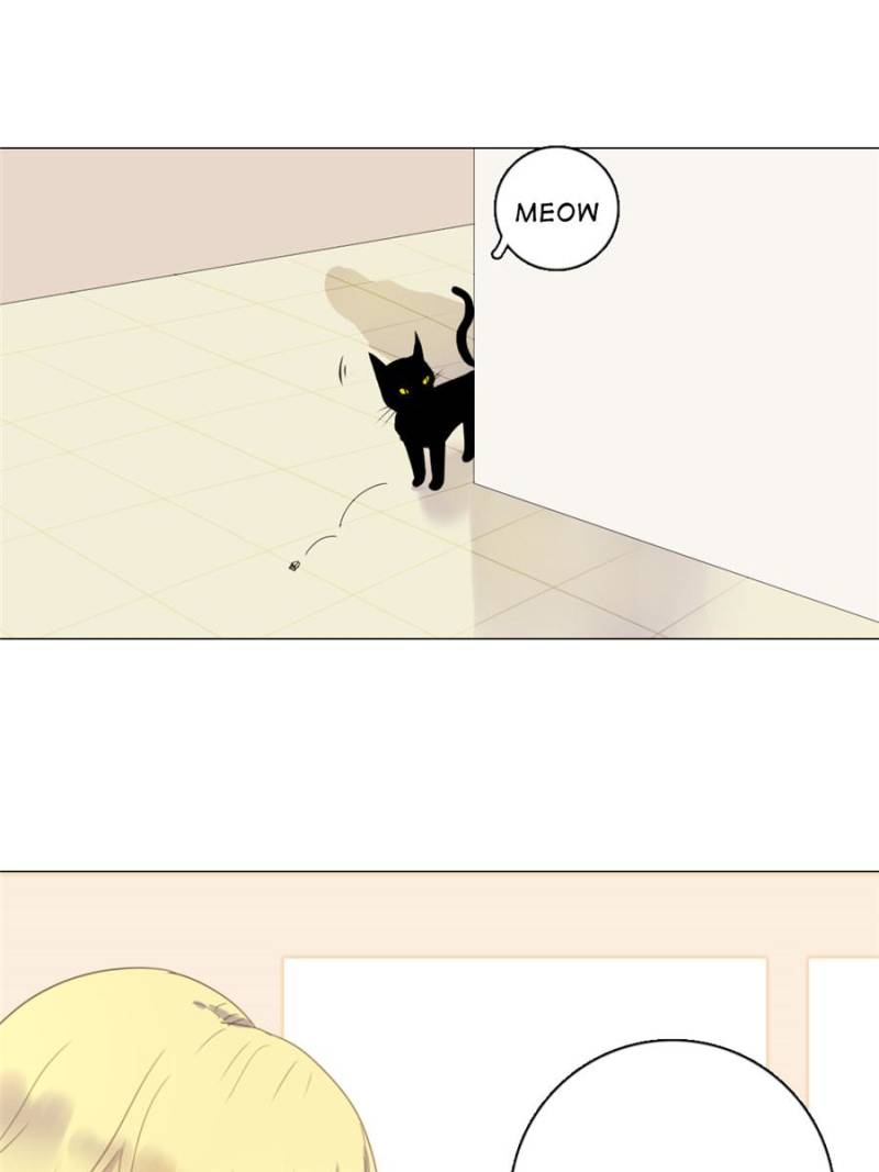 Page 20 of Chapter 25