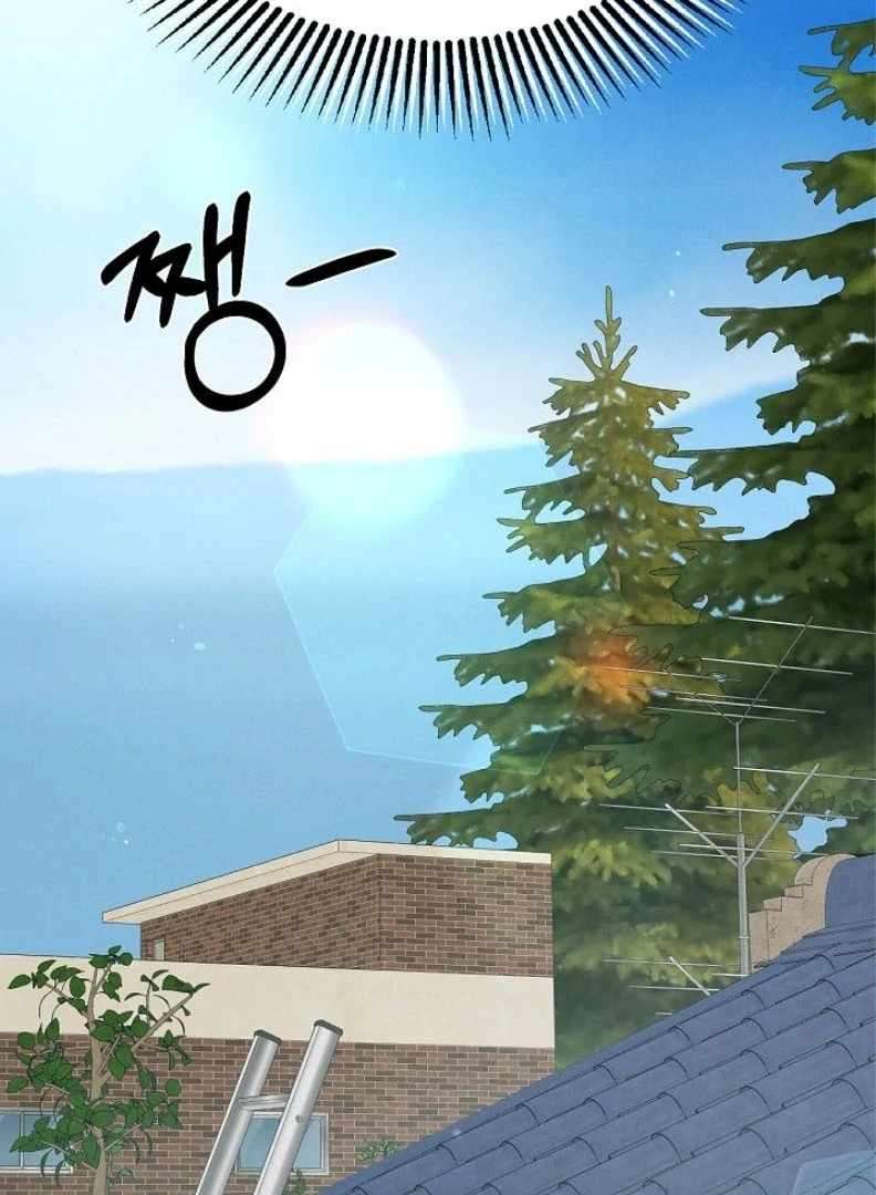 Page 38 of Chapter 55