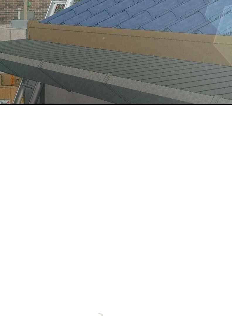 Page 39 of Chapter 55