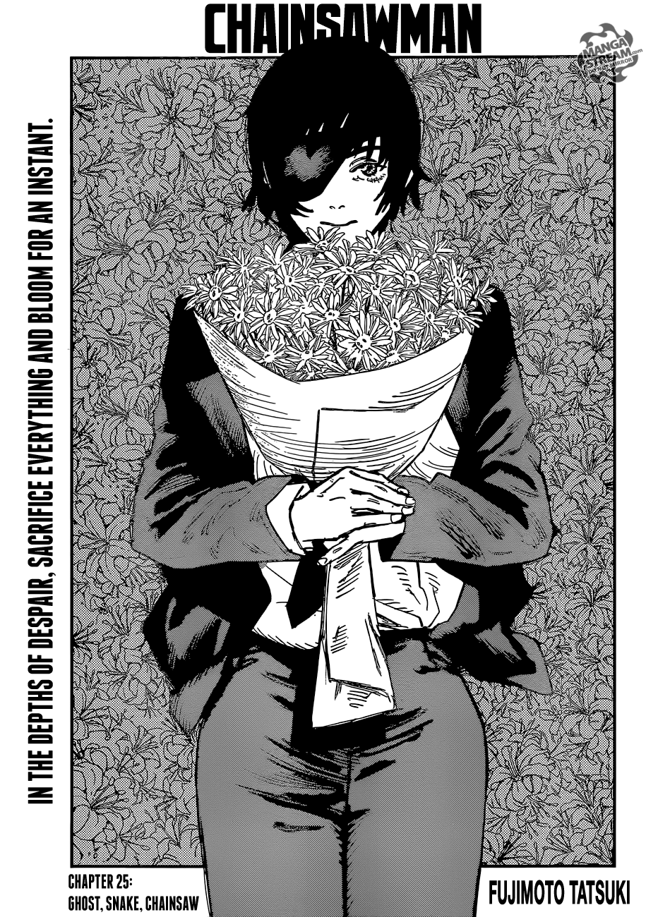 Page 1 of Chapter 25