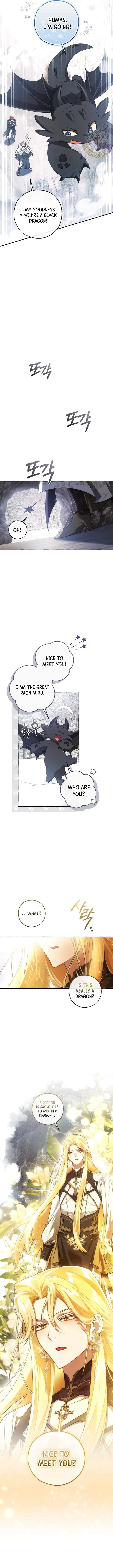 Page 12 of Chapter 143