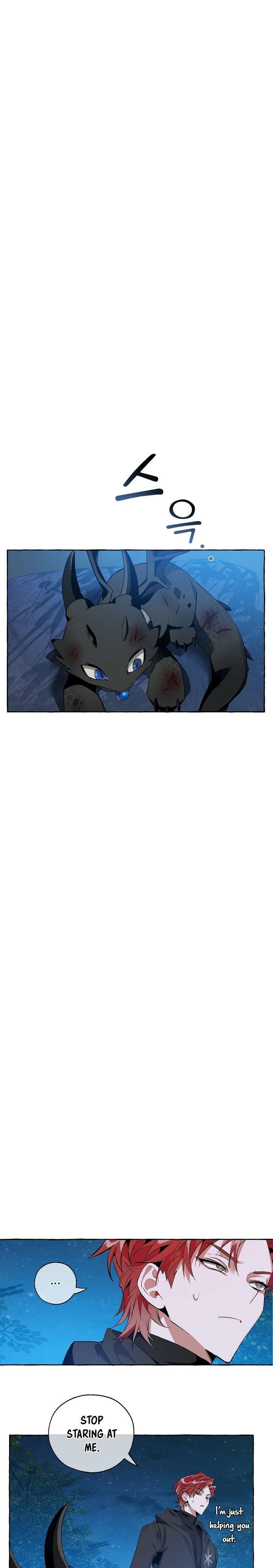 Page 17 of Chapter 19