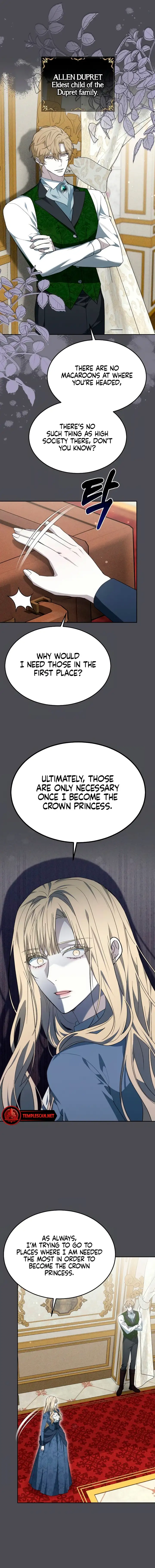 Page 17 of Chapter 15