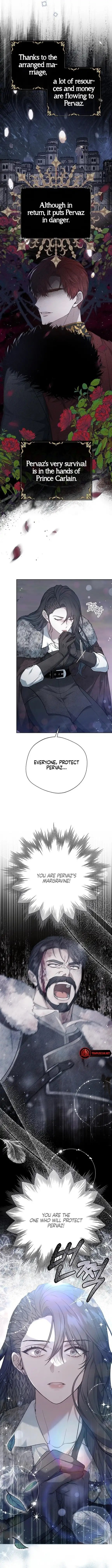 Page 3 of Chapter 7