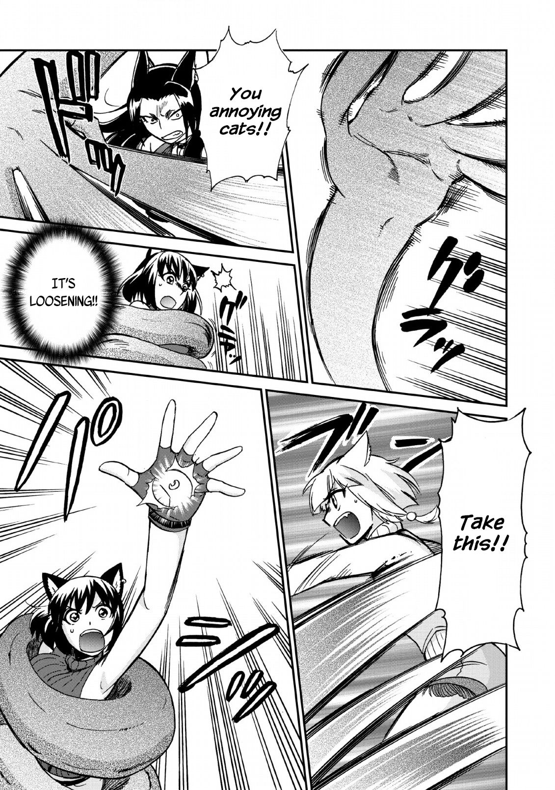Page 17 of Chapter 22