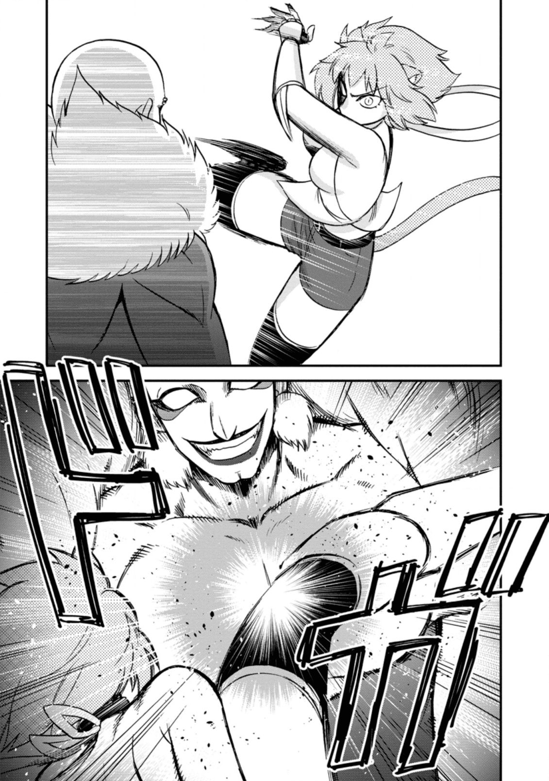 Page 17 of Chapter 23