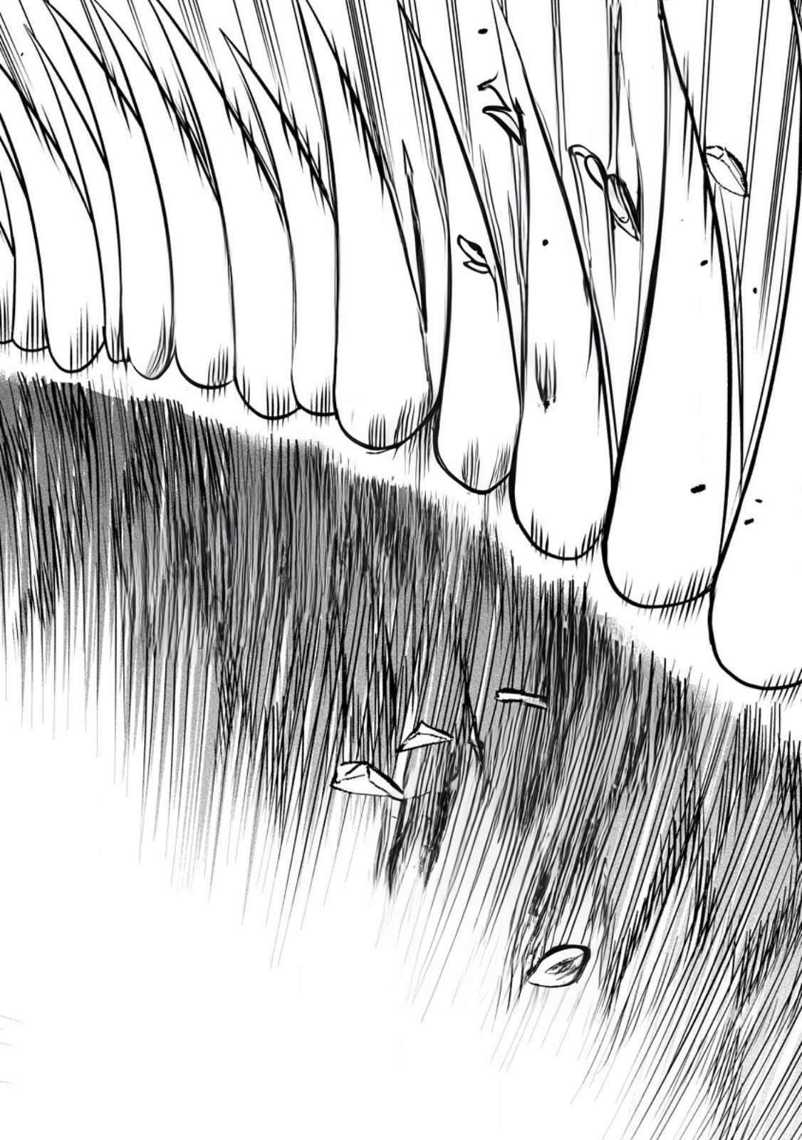 Page 12 of Chapter 44