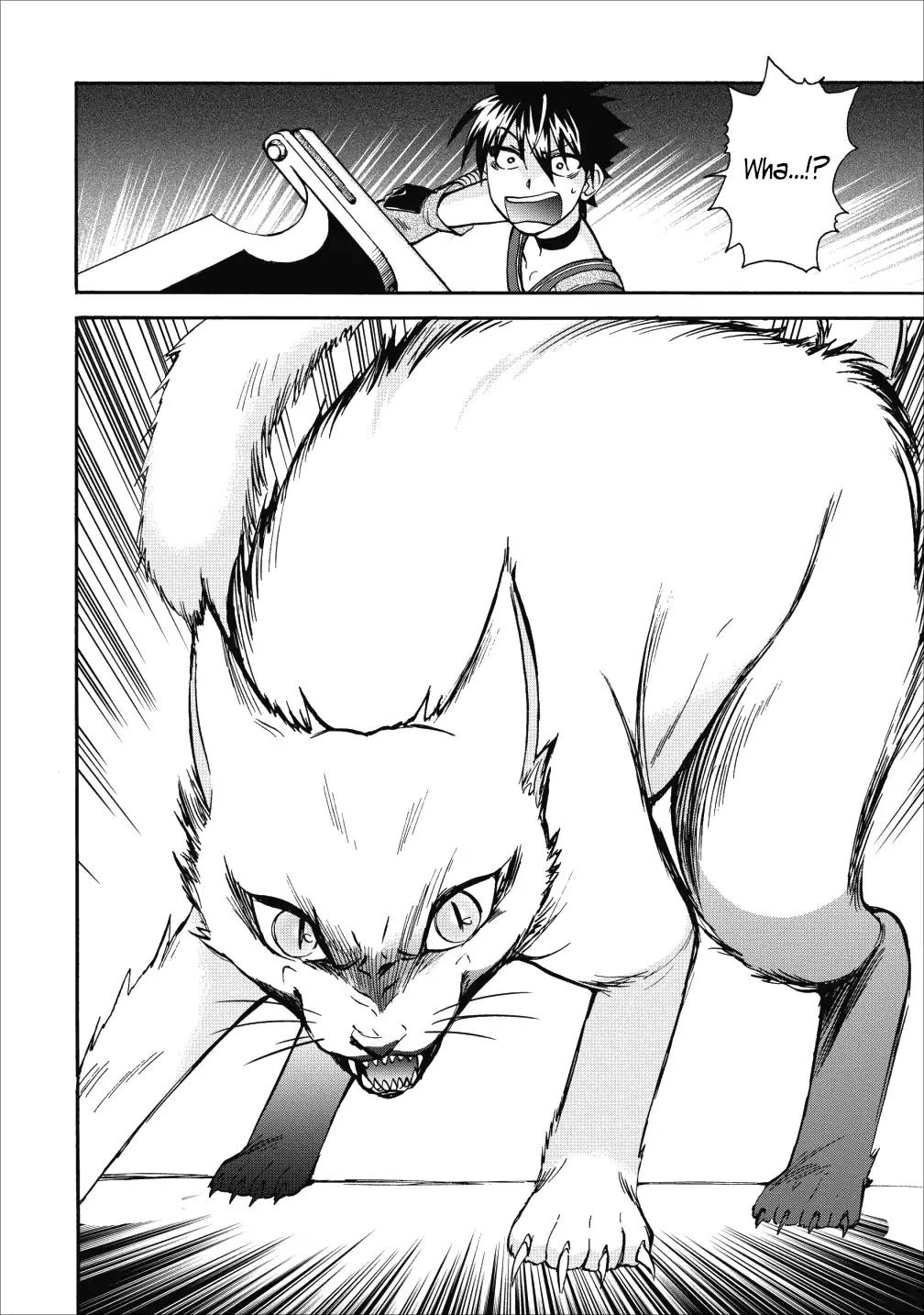 Page 23 of Chapter 8