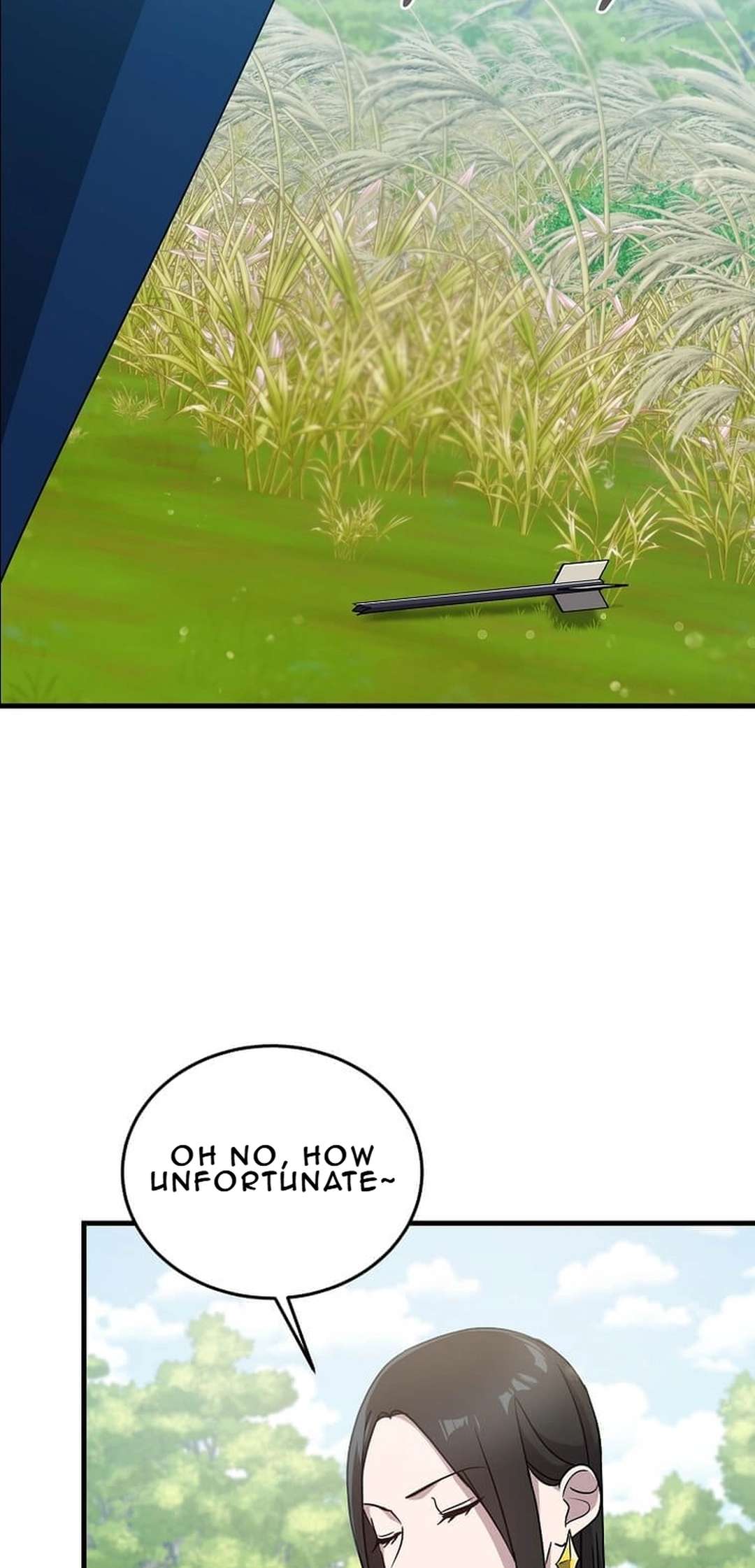 Page 77 of Chapter 11