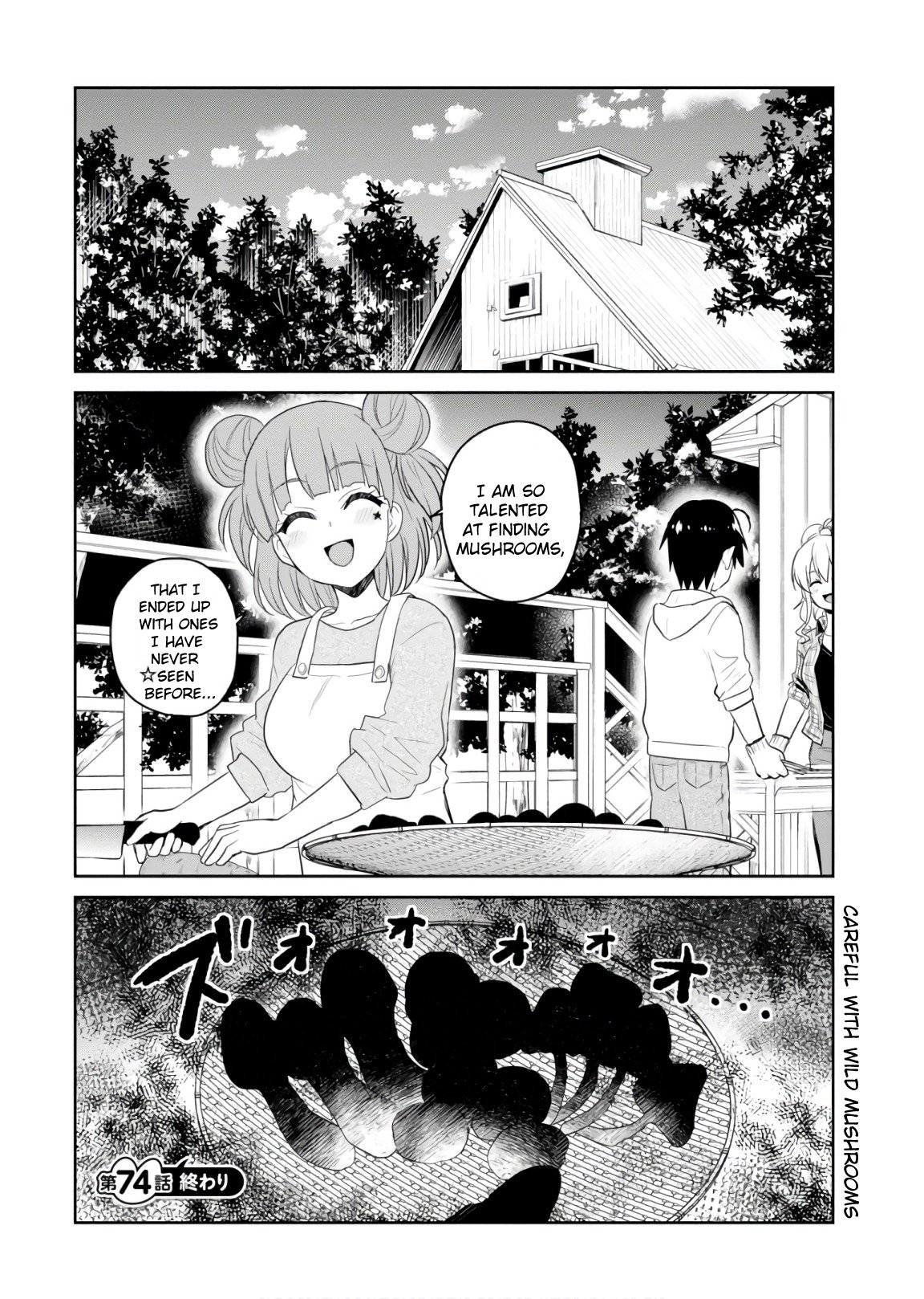Page 17 of Chapter 74