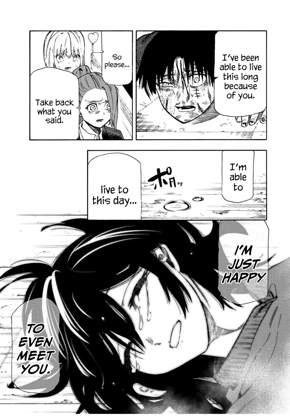 Page 17 of Chapter 207