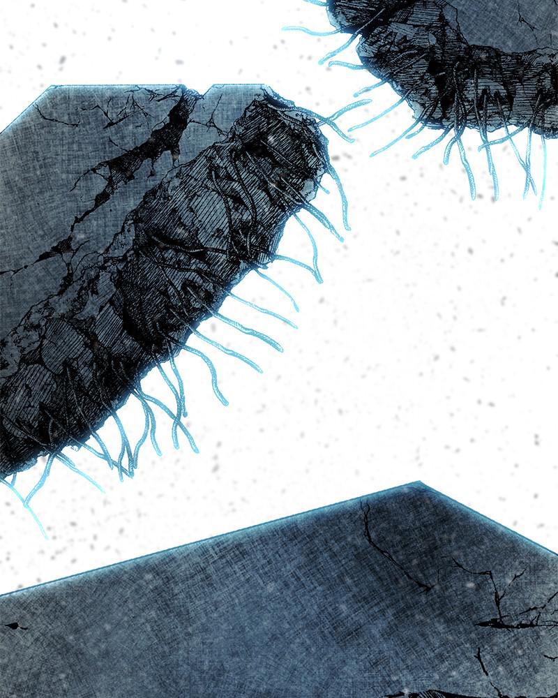 Page 11 of Chapter 52