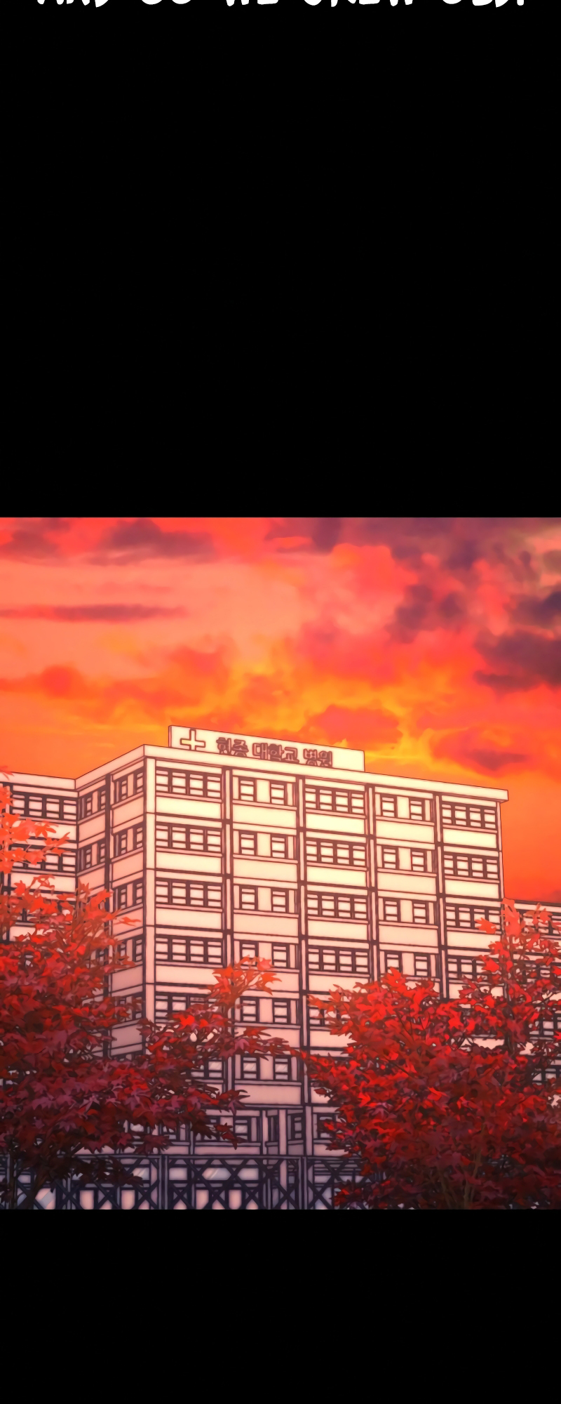 Page 81 of Chapter 62