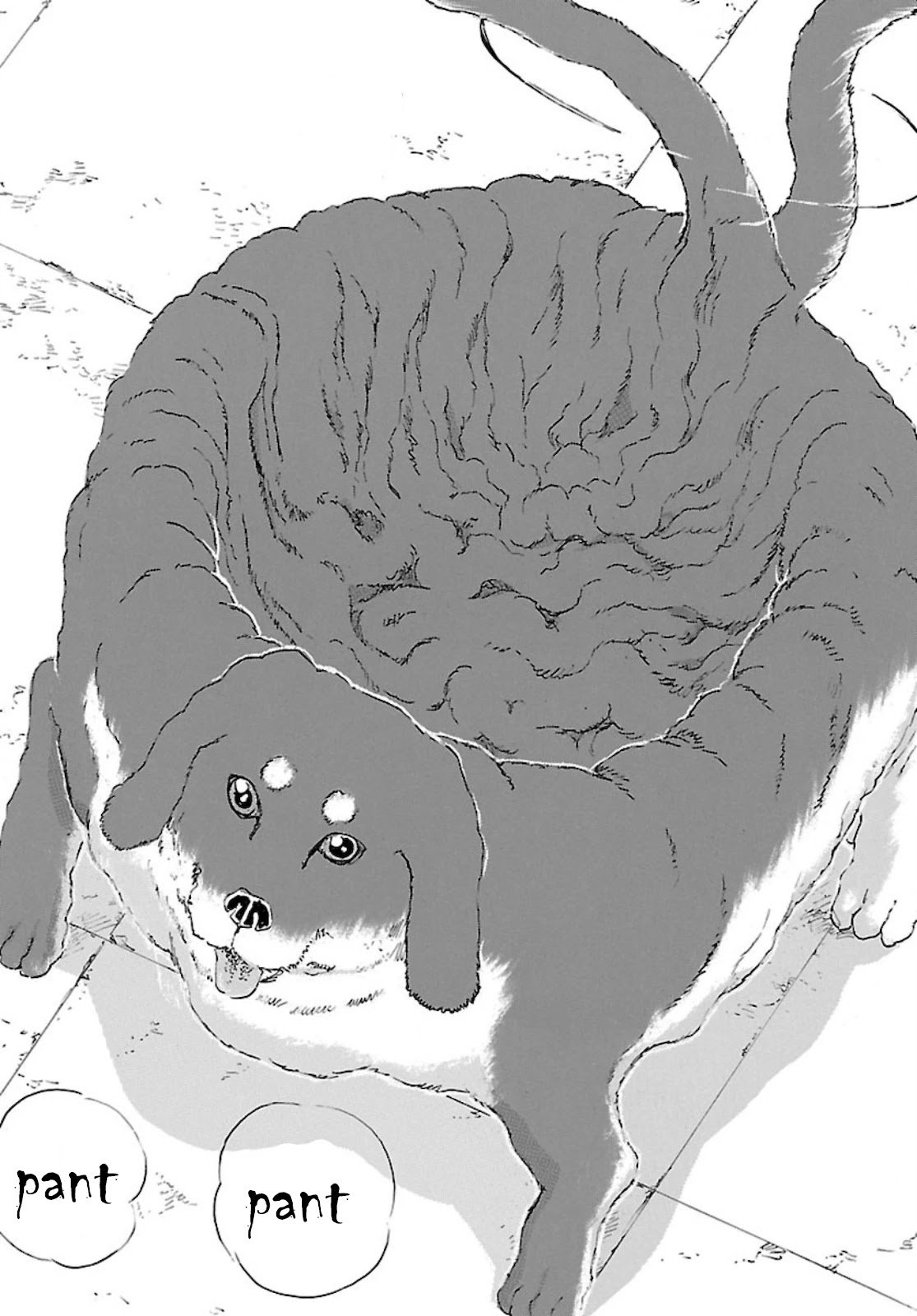Page 10 of Chapter 23