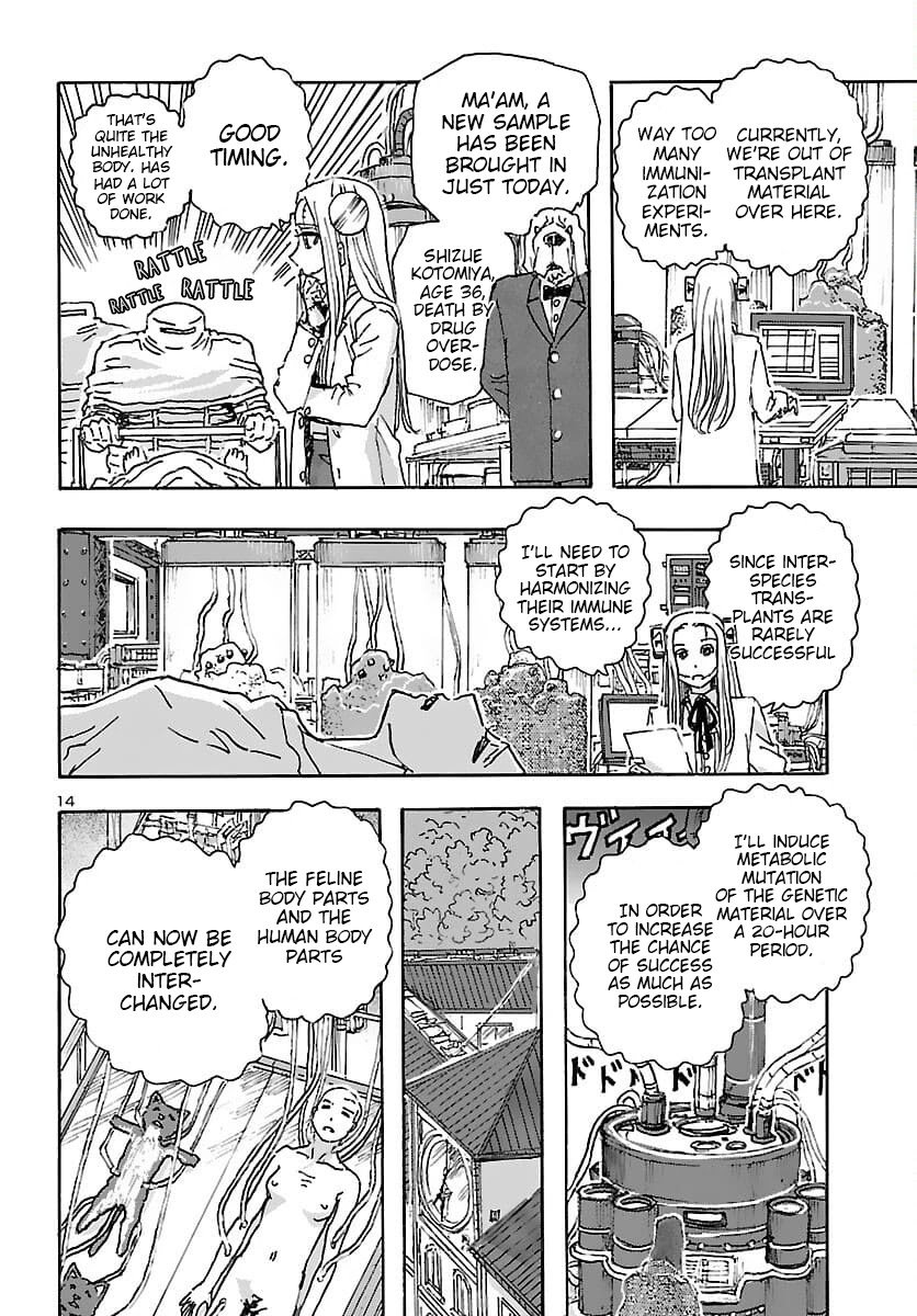 Page 14 of Chapter 31