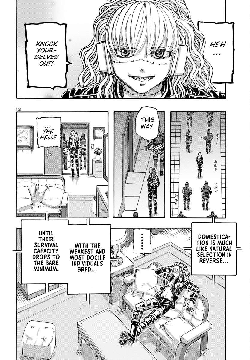Page 13 of Chapter 55