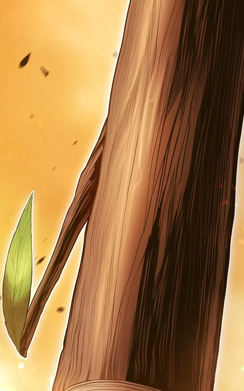 Page 3 of Chapter 116