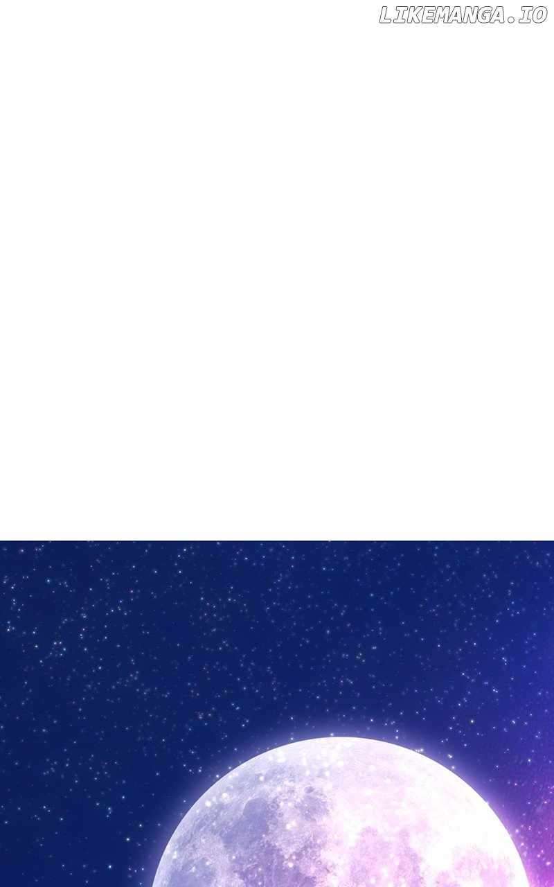 Page 245 of Chapter 146