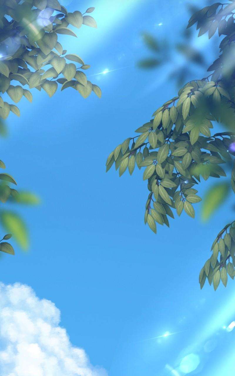 Page 405 of Chapter 77