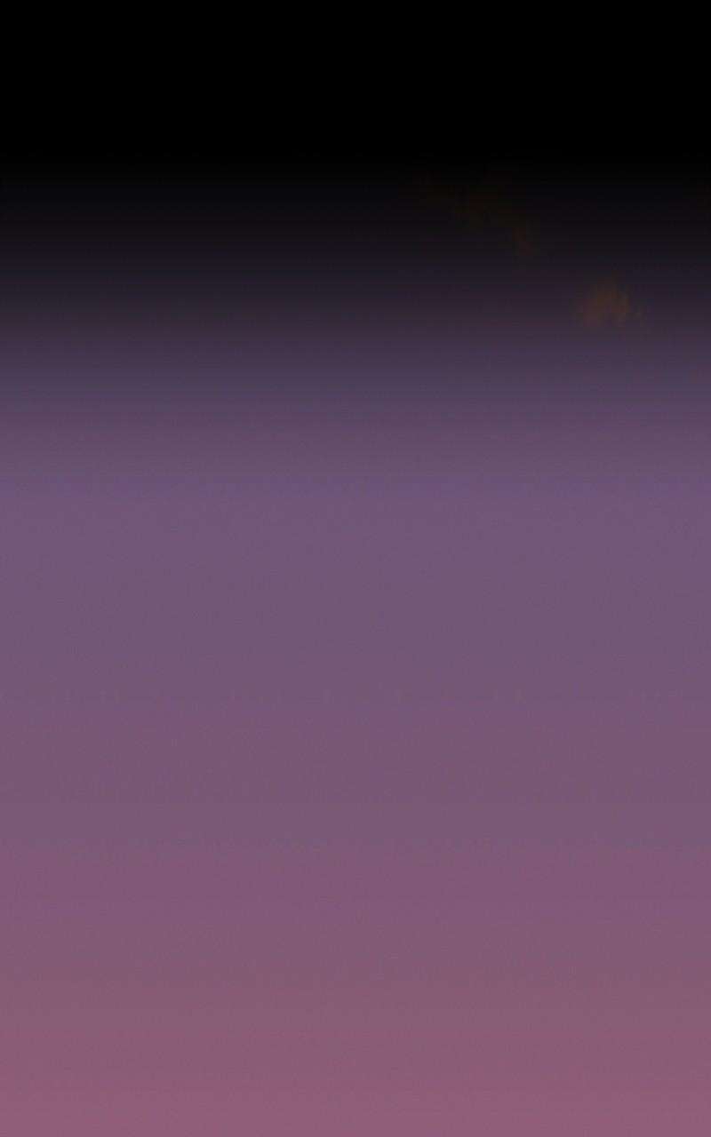 Page 185 of Chapter 79