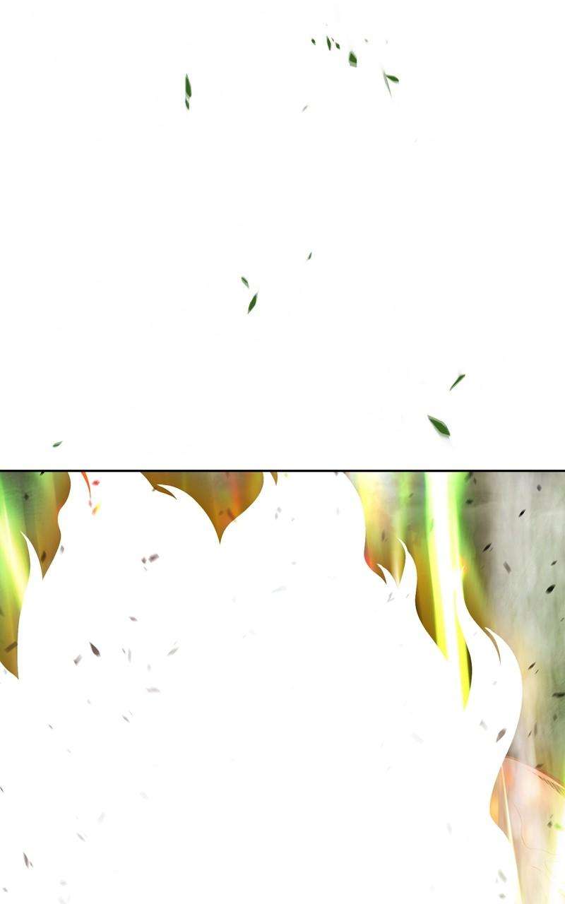 Page 43 of Chapter 81.2