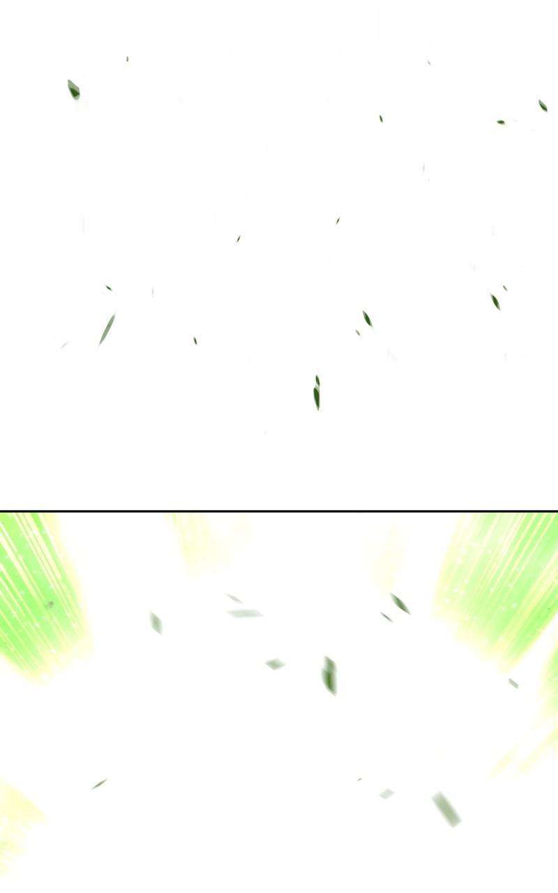 Page 55 of Chapter 81.2